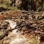 on Mauri e Miki Ferrata Burrone Giovanelli